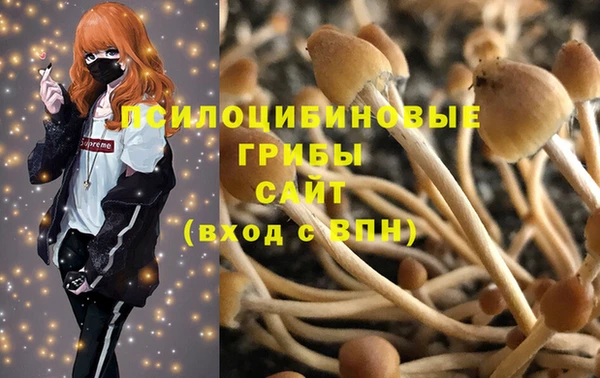 ешки Арсеньев