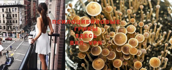 МДПВ Аркадак