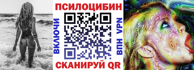 Купить  Шали  Псилоцибиновые грибы Psilocybe 